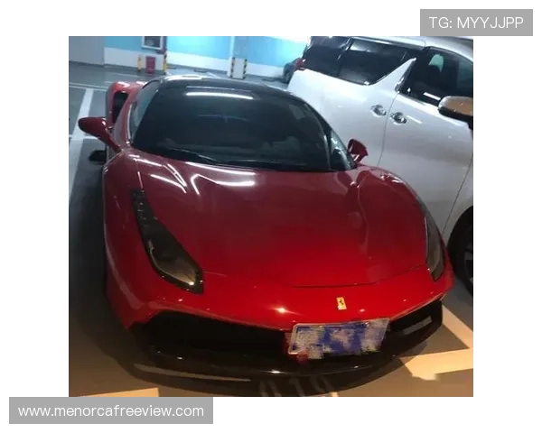 汪顺的日常光靠一个豪车车库，估计隔壁邻居都得羡慕哭