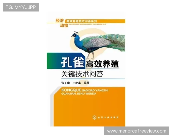 巴西出局原因解析：挪威高效反击成为关键